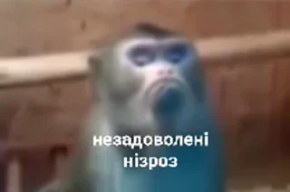 зроз