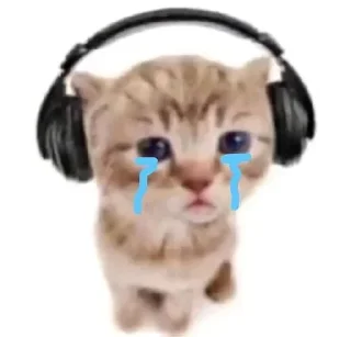 😺