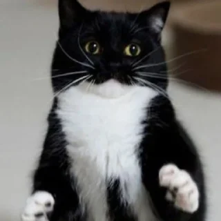 😆
