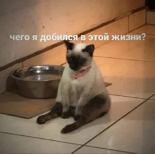 😢