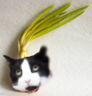 🌶️