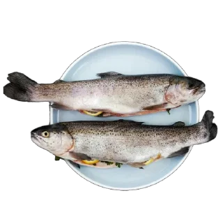 🍽️