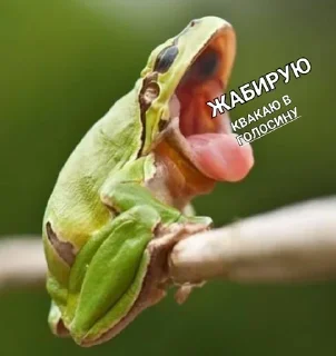 👏