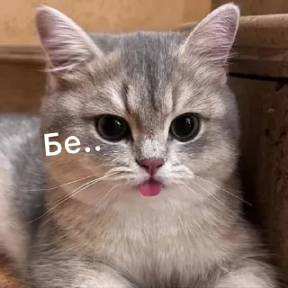 😜