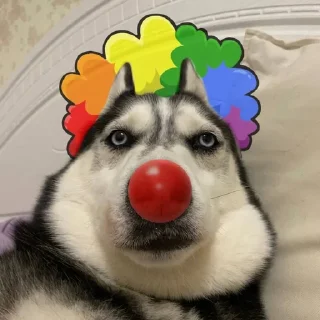 🤡