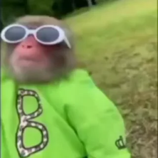 😎
