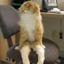 😐