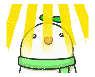 ✨