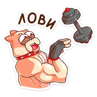 🏋️