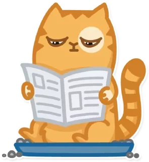 📰