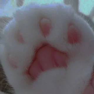 💗