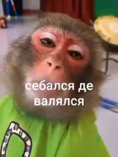 😑
