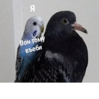 ☝️