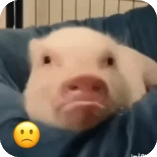 🤳