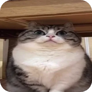👍