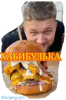 Хабибуллины