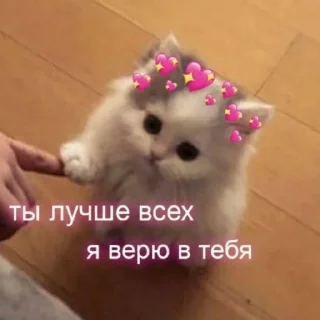 💖