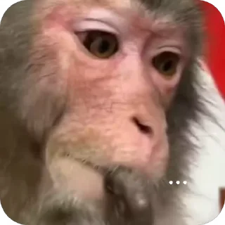🤔