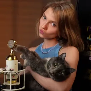 🐱