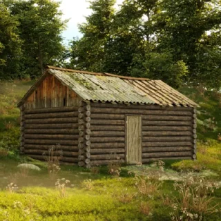 🏚️