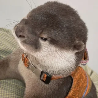 😑