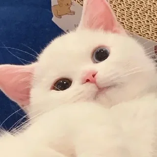 🙂
