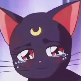 😢