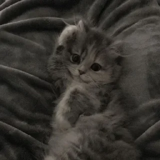 😝