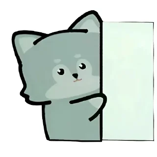🐱