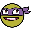 🐢