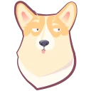 🐶
