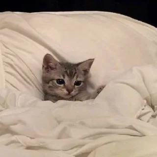 🥱