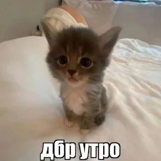 😇