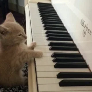 🎹