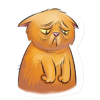 😹