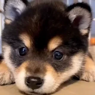 🙄