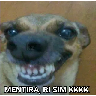 😂