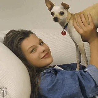 🐶