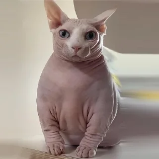🙁