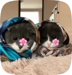🧕