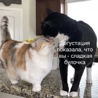 😋