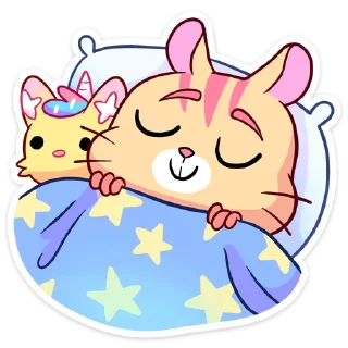 😴