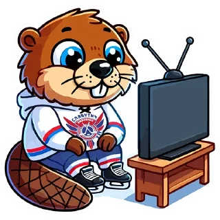 📺