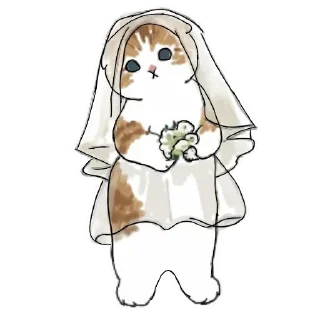 👰