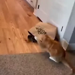 👊