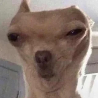 😑
