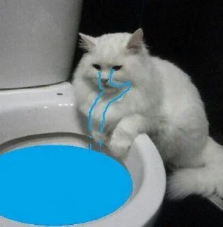 😭