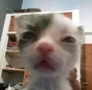 🤢