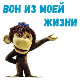 👉