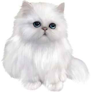 🐈